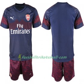 Fußballtrikots Arsenal Kinder 2018-2019 Kurzarm Auswärts-trikot kaufen